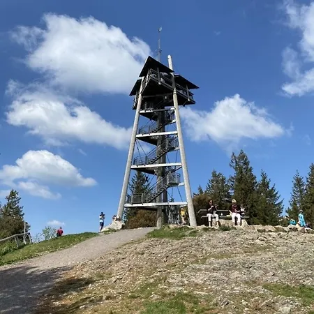 Blackforest Lounge Direkt An Der Skipiste, Inkl Parkplatz Und Skiraum Rinken