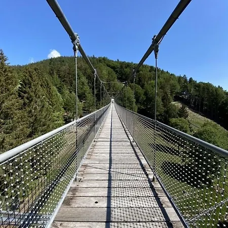 Blackforest Lounge Direkt An Der Skipiste, Inkl Parkplatz Und Skiraum Apartament