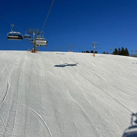 Apartament Blackforest Lounge Direkt An Der Skipiste, Inkl Parkplatz Und Skiraum *