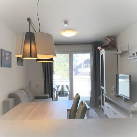 Blackforest Lounge Direkt An Der Skipiste, Inkl Parkplatz Und Skiraum * Feldberg (Baden-Wurttemberg)